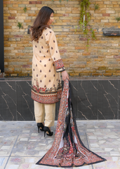 Cream Cotton Lawn - Stitched