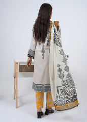 Lawn 3 Piece Suit - Stitched