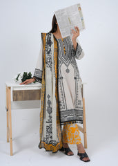 Lawn 3 Piece Suit - Stitched