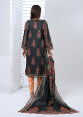 Lawn 3 Piece Suit - Stitched