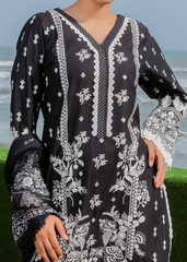NOOR E SIYAH