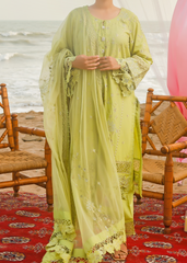 SHABNAM E SABZ