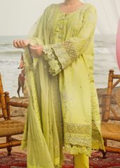 SHABNAM E SABZ